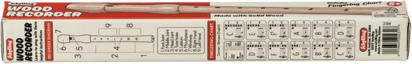 Recorder - childrens musical instrument
